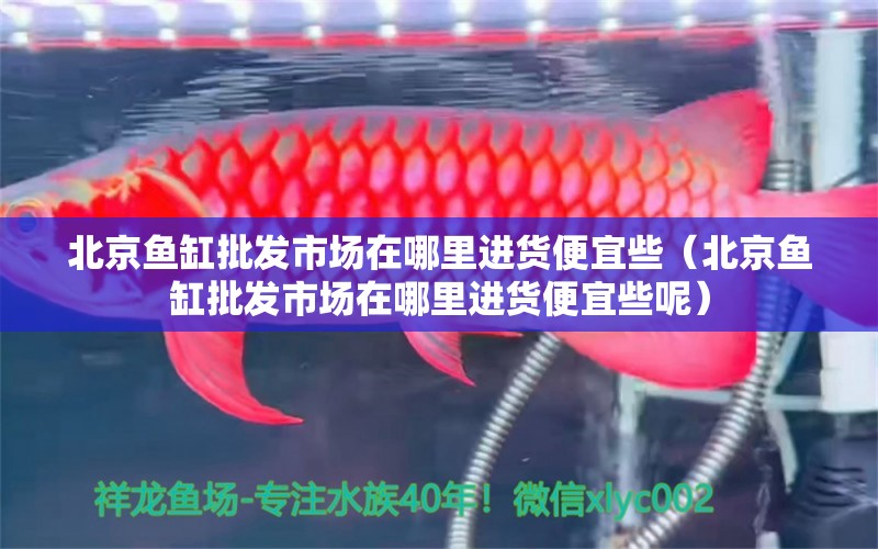 北京魚缸批發(fā)市場在哪里進(jìn)貨便宜些（北京魚缸批發(fā)市場在哪里進(jìn)貨便宜些呢）