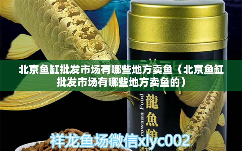 北京魚缸批發(fā)市場有哪些地方賣魚（北京魚缸批發(fā)市場有哪些地方賣魚的）