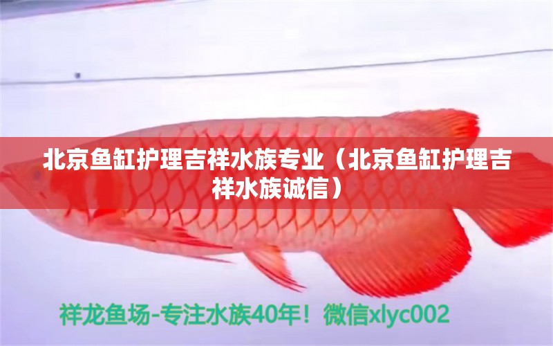 北京魚缸護(hù)理吉祥水族專業(yè)（北京魚缸護(hù)理吉祥水族誠(chéng)信）