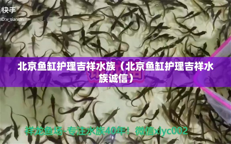 北京魚缸護(hù)理吉祥水族（北京魚缸護(hù)理吉祥水族誠信）