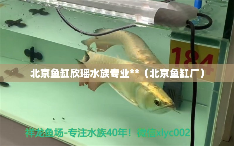 北京魚缸欣瑤水族專業(yè)**（北京魚缸廠）