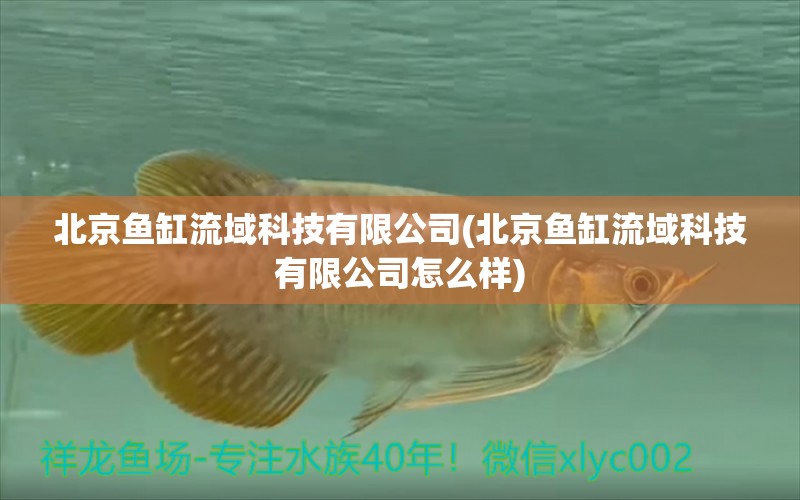 北京魚(yú)缸流域科技有限公司(北京魚(yú)缸流域科技有限公司怎么樣) 祥龍水族護(hù)理水