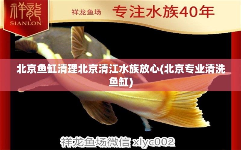 北京魚缸清理北京清江水族放心(北京專業(yè)清洗魚缸) 祥龍龍魚魚糧