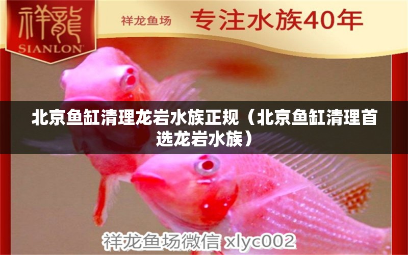 北京魚(yú)缸清理龍巖水族正規(guī)（北京魚(yú)缸清理首選龍巖水族）