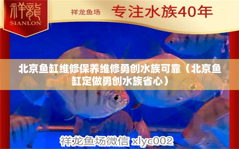 北京魚缸維修保養(yǎng)維修勇創(chuàng)水族可靠（北京魚缸定做勇創(chuàng)水族省心）