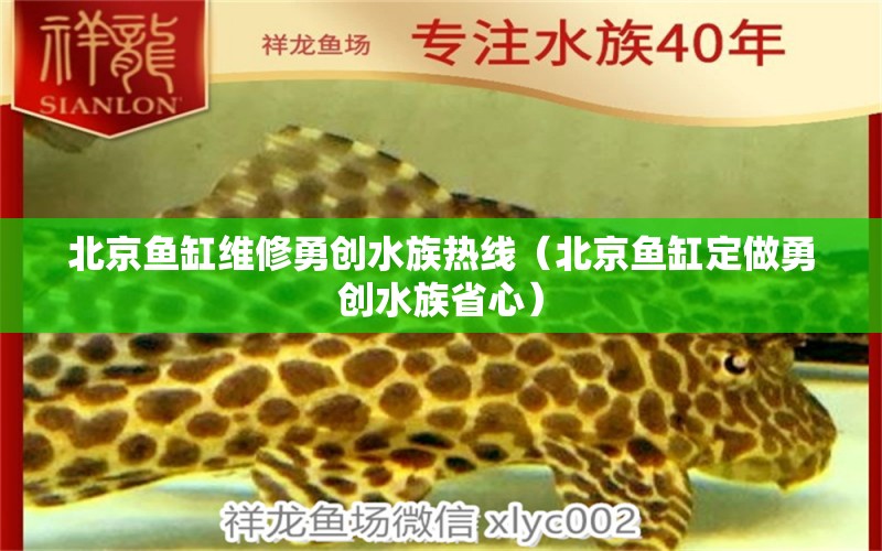 北京魚缸維修勇創(chuàng)水族熱線（北京魚缸定做勇創(chuàng)水族省心）