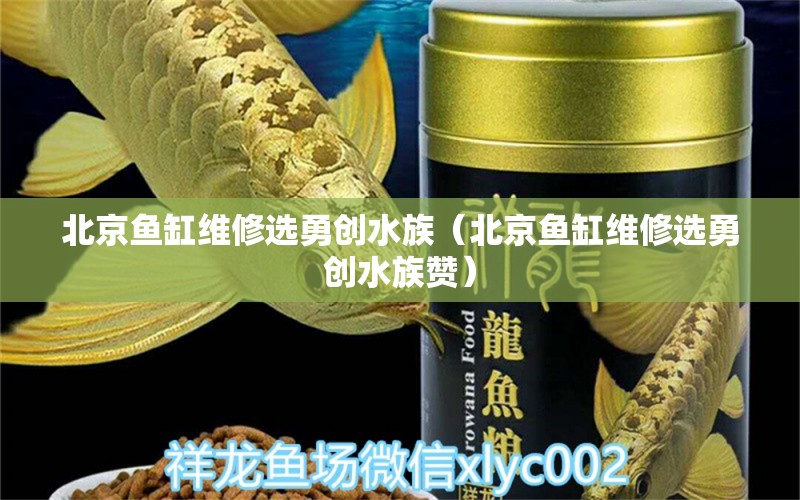 北京魚缸維修選勇創(chuàng)水族（北京魚缸維修選勇創(chuàng)水族贊）