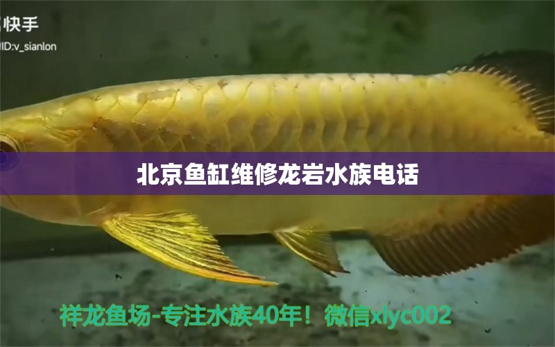 北京魚缸維修龍巖水族電話