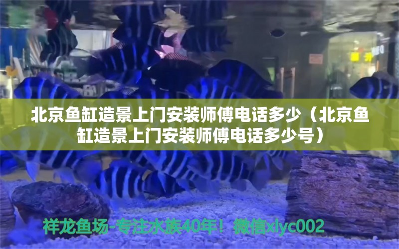 北京魚缸造景上門安裝師傅電話多少（北京魚缸造景上門安裝師傅電話多少號(hào)）