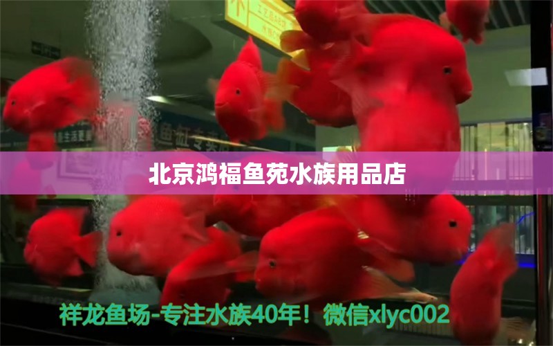 北京鴻福魚(yú)苑水族用品店 水族用品