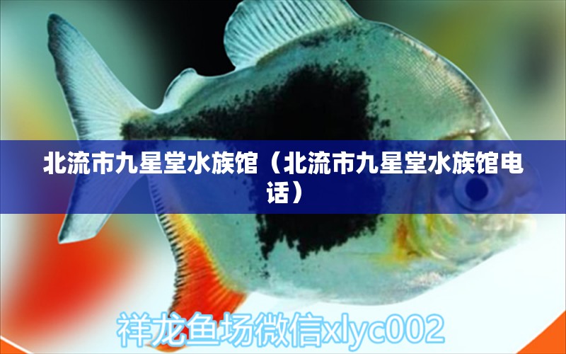 北流市九星堂水族館（北流市九星堂水族館電話） 全國水族館企業(yè)名錄