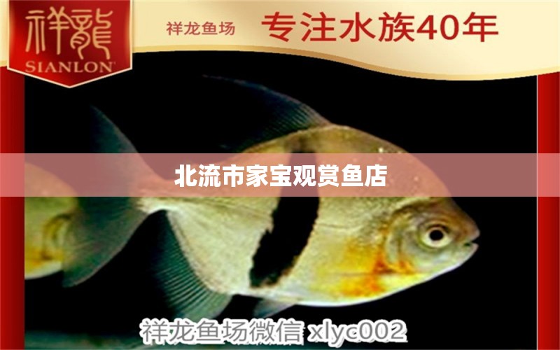 北流市家寶觀賞魚店 全國水族館企業(yè)名錄