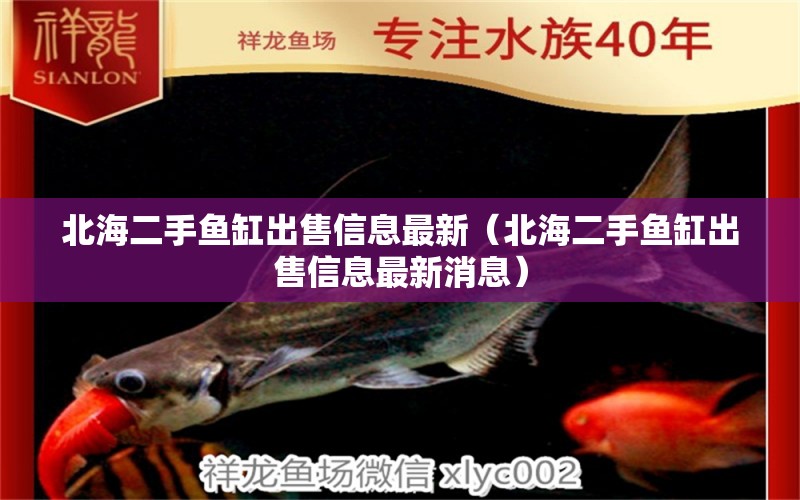 北海二手魚(yú)缸出售信息最新（北海二手魚(yú)缸出售信息最新消息） 祥龍水族醫(yī)院