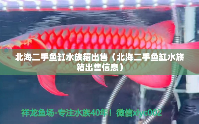 北海二手魚缸水族箱出售（北海二手魚缸水族箱出售信息） 魚缸/水族箱