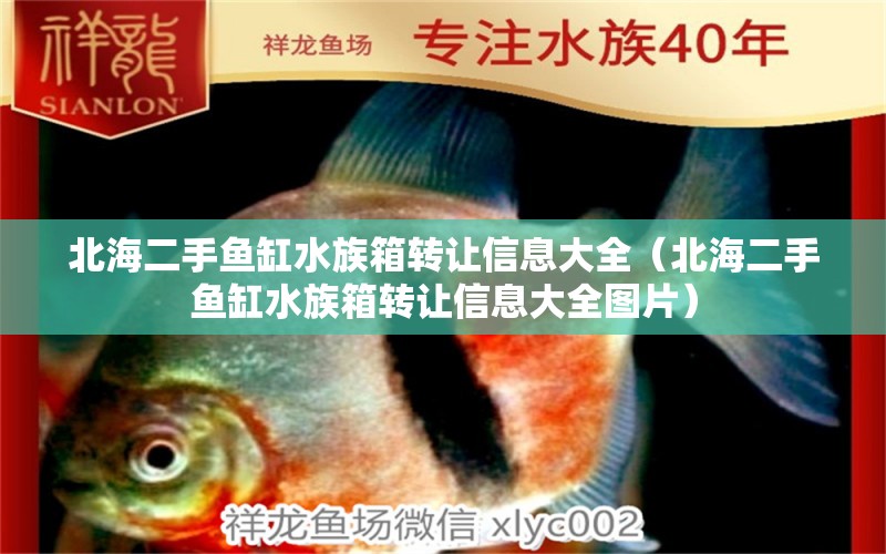 北海二手魚缸水族箱轉(zhuǎn)讓信息大全（北海二手魚缸水族箱轉(zhuǎn)讓信息大全圖片） 魚缸/水族箱