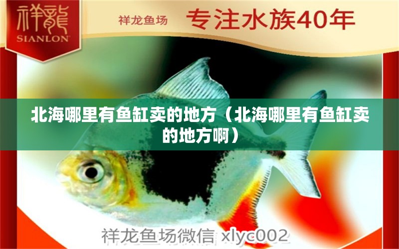 北海哪里有魚缸賣的地方（北海哪里有魚缸賣的地方?。? title=