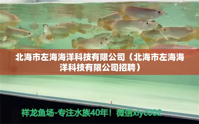 北海市左海海洋科技有限公司（北海市左海海洋科技有限公司招聘）