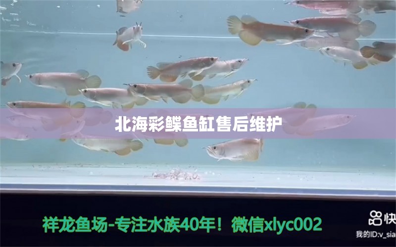 北海彩鰈魚(yú)缸售后維護(hù)