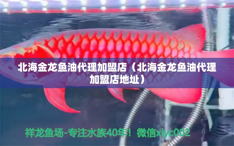 北海金龍魚油代理加盟店（北海金龍魚油代理加盟店地址）