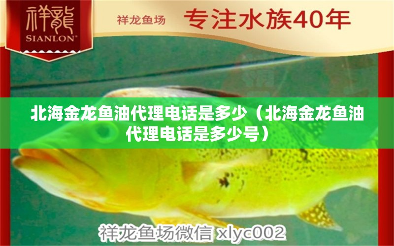 北海金龍魚油代理電話是多少（北海金龍魚油代理電話是多少號(hào)） 祥龍水族醫(yī)院