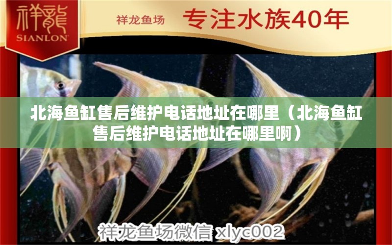 北海魚(yú)缸售后維護(hù)電話地址在哪里（北海魚(yú)缸售后維護(hù)電話地址在哪里?。? title=