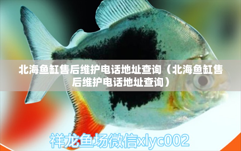 北海魚(yú)缸售后維護(hù)電話地址查詢（北海魚(yú)缸售后維護(hù)電話地址查詢）