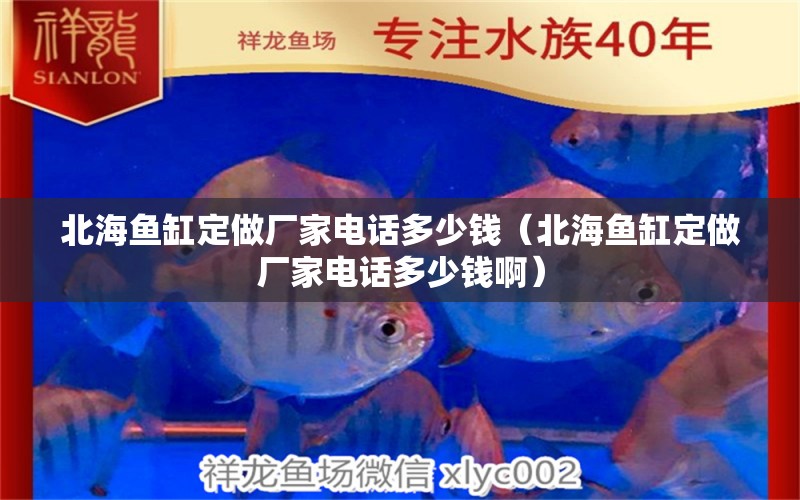 北海魚缸定做廠家電話多少錢（北海魚缸定做廠家電話多少錢?。? title=