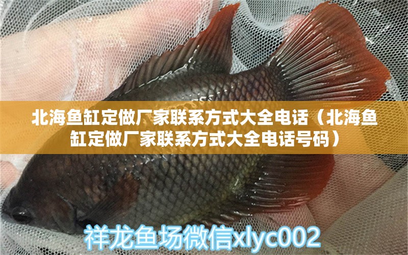 北海魚(yú)缸定做廠家聯(lián)系方式大全電話（北海魚(yú)缸定做廠家聯(lián)系方式大全電話號(hào)碼）