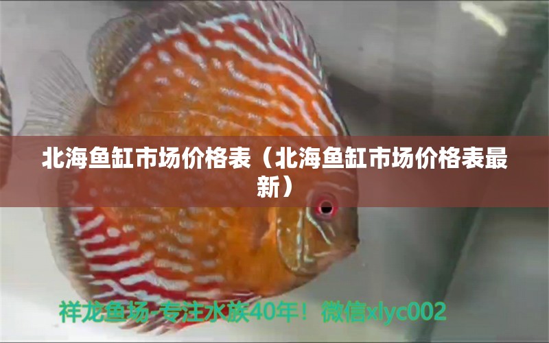 北海魚(yú)缸市場(chǎng)價(jià)格表（北海魚(yú)缸市場(chǎng)價(jià)格表最新）