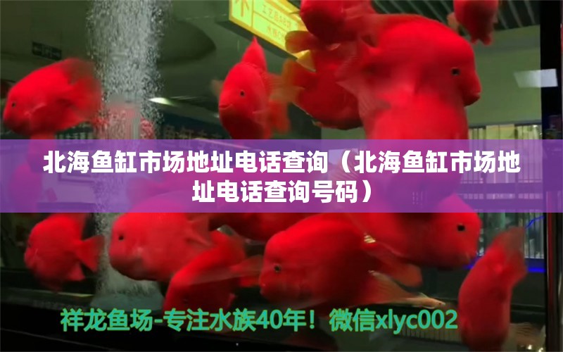 北海魚缸市場地址電話查詢（北海魚缸市場地址電話查詢號碼）