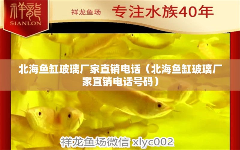 北海魚缸玻璃廠家直銷電話（北海魚缸玻璃廠家直銷電話號碼）