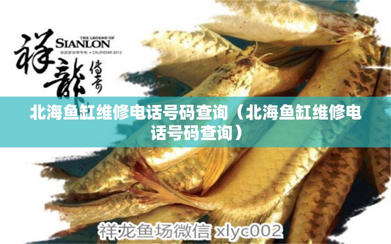 北海魚(yú)缸維修電話號(hào)碼查詢（北海魚(yú)缸維修電話號(hào)碼查詢） 白子球鯊魚(yú)