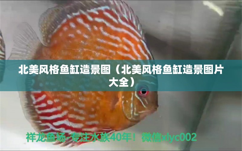 北美風(fēng)格魚(yú)缸造景圖（北美風(fēng)格魚(yú)缸造景圖片大全）