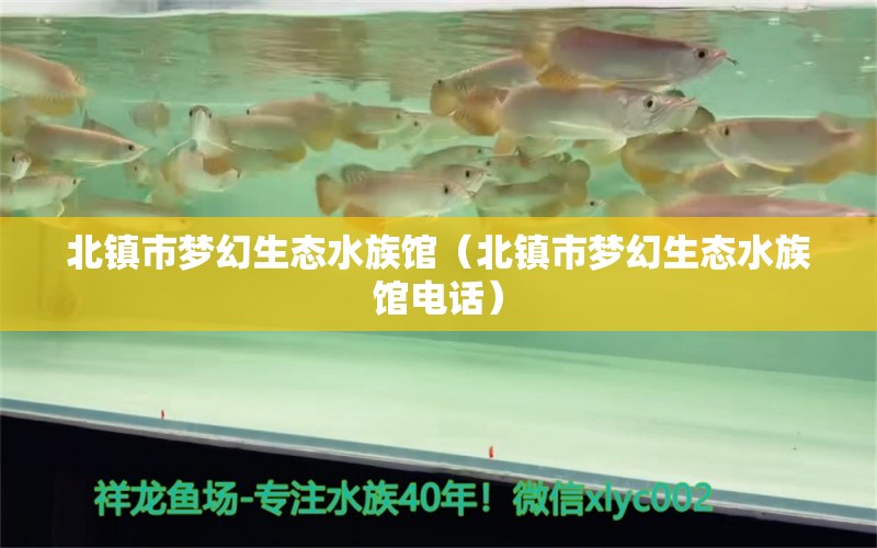 北鎮(zhèn)市夢(mèng)幻生態(tài)水族館（北鎮(zhèn)市夢(mèng)幻生態(tài)水族館電話）