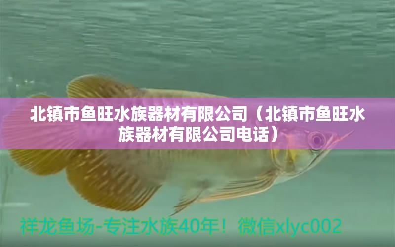 北鎮(zhèn)市魚(yú)旺水族器材有限公司（北鎮(zhèn)市魚(yú)旺水族器材有限公司電話(huà)）