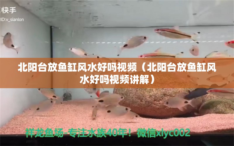 北陽臺(tái)放魚缸風(fēng)水好嗎視頻（北陽臺(tái)放魚缸風(fēng)水好嗎視頻講解） 魚缸風(fēng)水