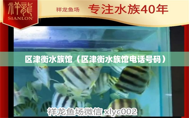 區(qū)津衡水族館（區(qū)津衡水族館電話號(hào)碼）