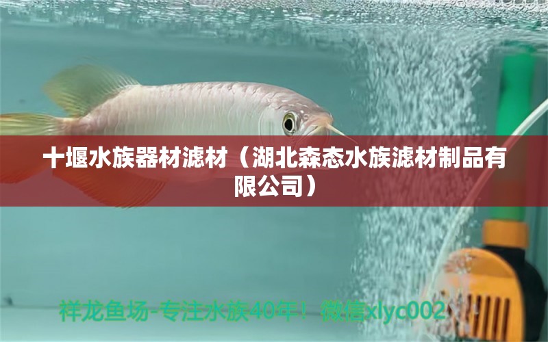 十堰水族器材濾材（湖北森態(tài)水族濾材制品有限公司） 印尼虎苗 第1張