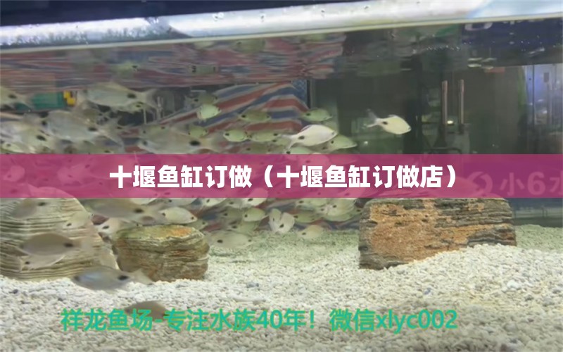 十堰魚缸訂做（十堰魚缸訂做店）