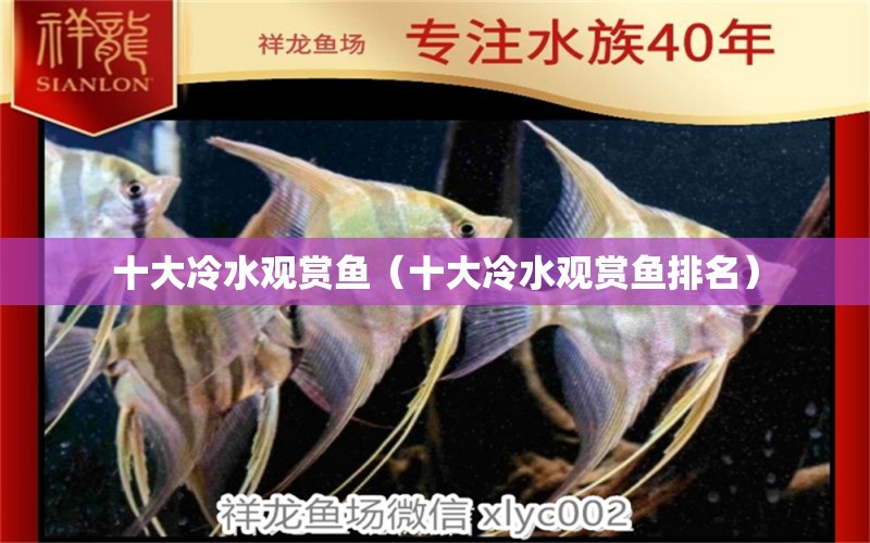 十大冷水觀賞魚（十大冷水觀賞魚排名）