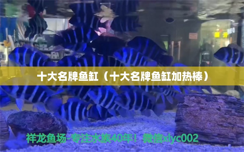 十大名牌魚缸（十大名牌魚缸加熱棒） iwish愛唯希品牌魚缸