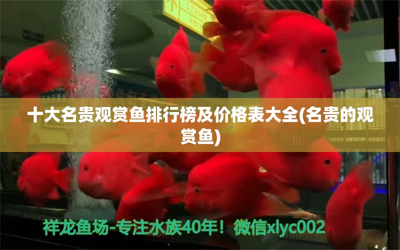 十大名貴觀賞魚排行榜及價格表大全(名貴的觀賞魚) 虎魚魚苗