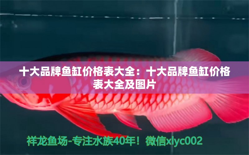 十大品牌魚缸價格表大全：十大品牌魚缸價格表大全及圖片