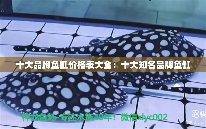 十大品牌魚缸價格表大全：十大知名品牌魚缸 廣州龍魚批發(fā)市場