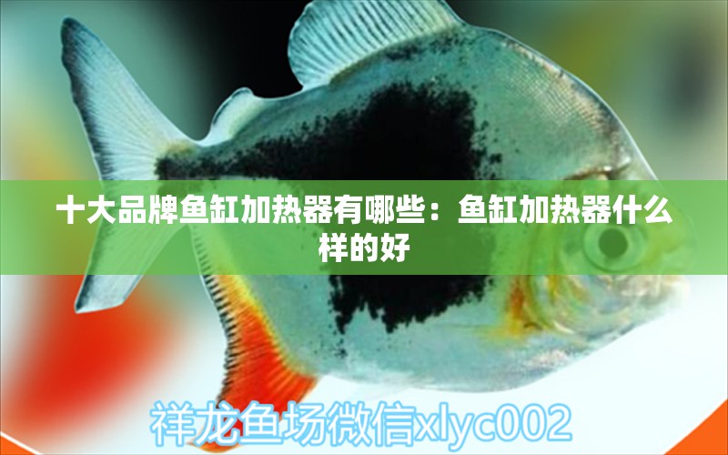 十大品牌魚(yú)缸加熱器有哪些：魚(yú)缸加熱器什么樣的好