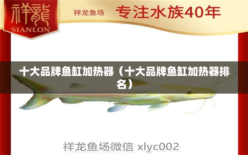 十大品牌魚缸加熱器（十大品牌魚缸加熱器排名） 其他品牌魚缸