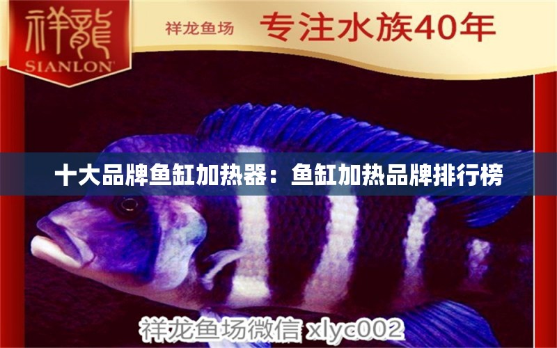 十大品牌魚(yú)缸加熱器：魚(yú)缸加熱品牌排行榜 廣州龍魚(yú)批發(fā)市場(chǎng)