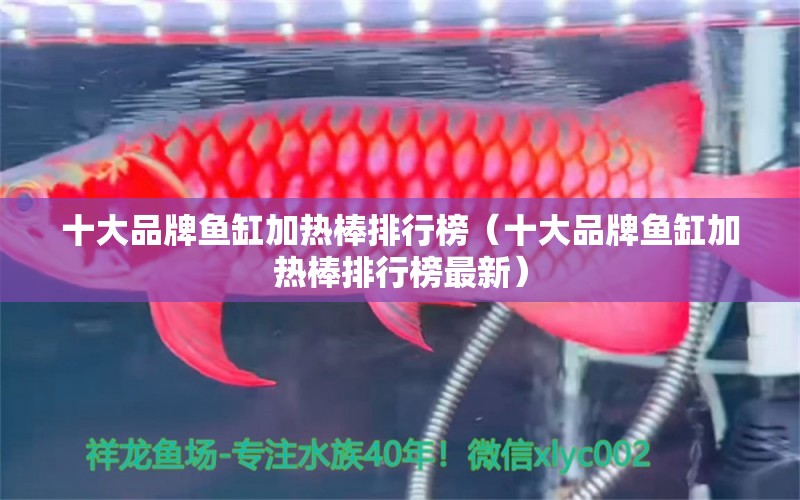 十大品牌魚(yú)缸加熱棒排行榜（十大品牌魚(yú)缸加熱棒排行榜最新） 其他品牌魚(yú)缸