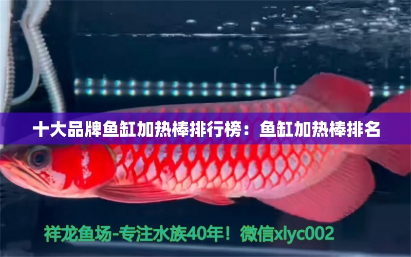 十大品牌魚缸加熱棒排行榜：魚缸加熱棒排名 廣州龍魚批發(fā)市場