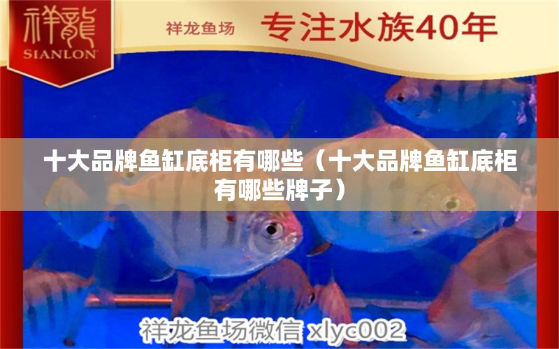 十大品牌魚缸底柜有哪些（十大品牌魚缸底柜有哪些牌子）